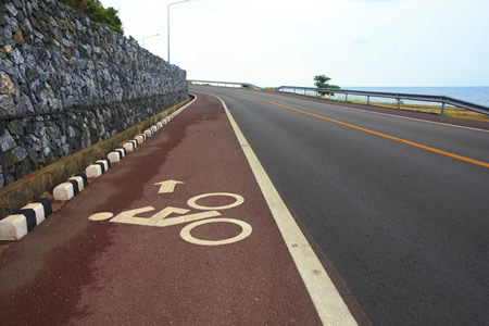 Bicycle lane painted on a roadside in houston tx